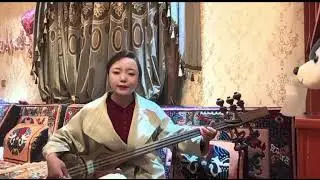 18 October 2025  ཏམ་བུ་རའི་སྒྱུ་རྩལ་ཐོག་ཕུལ་བྱུང་གི་སྐྱེ་མ་ཞིག