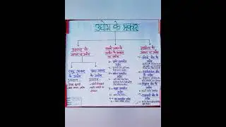 B.Ed. economics TLM | Chart paper| Model| My Artwork