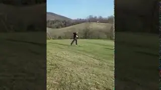 Running Down Meme Hill