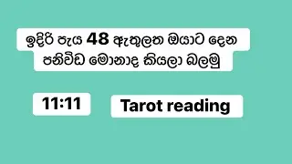 ඉදිරි පැය 48 මොනාද වෙන්නෙ? / වෙන්න තියෙන ප්‍රස්නයක් මගහැර ගන්න පුලුවන් 🙏#foryou #tarotreading