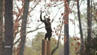 Alpha's Group Explores the Forest