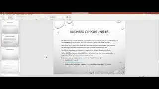 Disadvantaged Business Enterprises Workshop - November 19, 2020