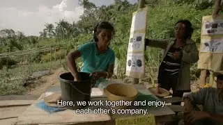 Typhoon Haiyan: The gardens helping survivors back on their feet