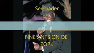 Serenader - Fine Ants On De Pork