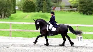 Light It Up  - Equestrian Music Video