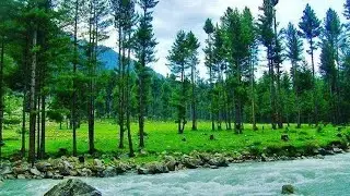 Kalam Valley Beautiful Drone View | Pakistan 🇵🇰