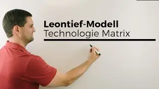 Leontief-Modell, Technologie Matrix, Bedeutung Koeffizienten, plus Tabelle, Mathe by Daniel Jung