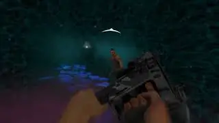 Kill Vaas