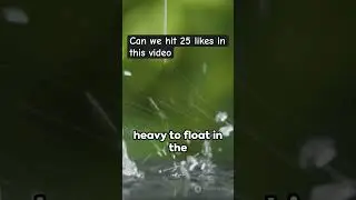 How rain drop is formed 🤯 #quicklearn #viral #science #school #like #trending #shortvideo #rain