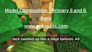 Bees - Singapore Model Composition / Essay