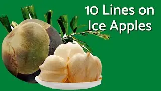 Ice Apples - 10 Lines on Ice Apples | TeachMeYT