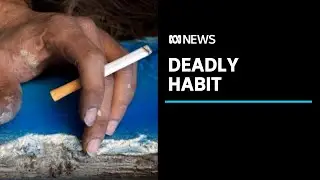 Smoking linked to nearly half of deaths among Indigenous Australians, study finds | ABC News