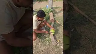 #coconut #coconutwater. Ama badi ru aji paida bichha hela.