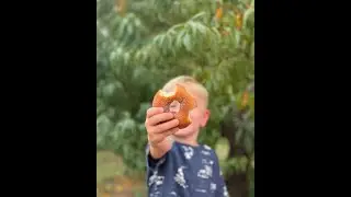 Regular summer events | Farm Fresh #SummerVeggies | clip 12/14