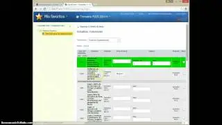 Reporte de indicadores software QuickScore