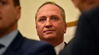 Barnaby Joyce raises privacy concerns over COVID-19 tracing app