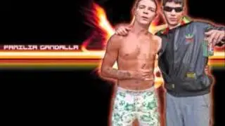 zumbas-como todos con la saga-LA VOLUNTAD 2007