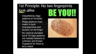 NO TWO PEOPLE HAVE THE SAME FINGERPRINT/S.