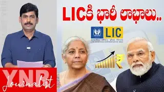 LIC కి భారీ లాభాలు | Huge profits for LIC ; LIC Q2 net rises 31% on business growth | Journalist YNR