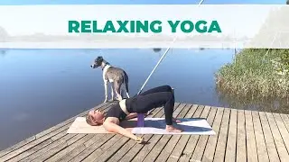 25 minute Beginner Friendly, Relaxing Yoga Class in Nature 💫 | Doga Yoga
