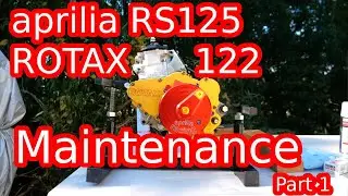aprilia RS125 ROTAX 122 Maintenance Part 1