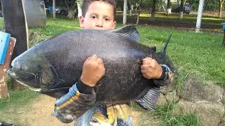 Pesqueiro recanto do pacu (parte 1), pesca #11