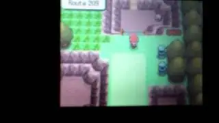 how to level up quickly in pokemon diamond/pearl/platinum