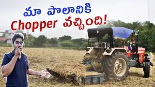 Paddy Straw Cutting machine || వరి కోత || Tenali || Andhra Pradesh || @Rajufromtenali