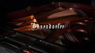 My Piano - Klav&iacute;rne pr&iacute;behy | B&ouml;sendorfer