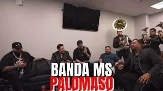 Palomaso Con Banda MS | LONCHE FES #lonche #willito #westcol #Samulx #bandams #chanty  #reydelacity