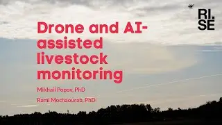 AI assisted livestock monitoring