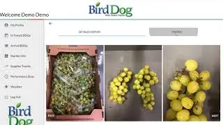 RJO Portal Demo
