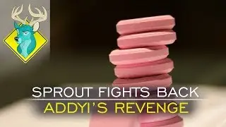TL;DR - Sprout Fights Back: Addyi's Revenge