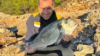 Bozicna monster orada