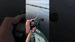 Fishing Ultra Light BFS Setup #bassfishing #fishingvideo #bfsfishing