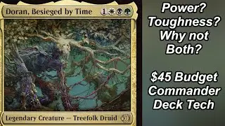 Doran, Besieged by Time Budget Commander Deck Tech | MTG