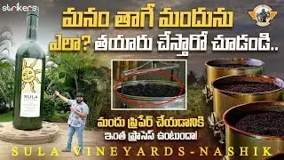మనం తాగే మందు ఎలా తయారుచేస్తారో చూడండి ||Sula Vineyards Tour Nashik  || Telugu Travel Vlogger