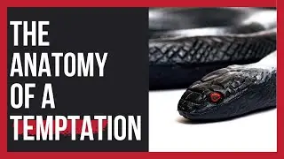 How Temptation Works | The Anatomy of a Temptation