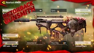 BEST RAZORBACK GUNSMITH EVER!