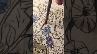 chicory  flowers  💐 👍acrylic👇 painting subscribe