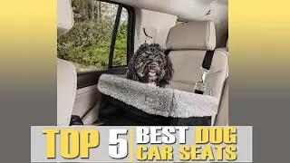 The 5 Best Dog Car Seat Covers of 2022 | Keep Your Fido Safe and Stylish!