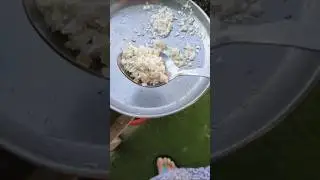 Eggs is best fertilizer for plant ||#flowers #plants #ytshorts #gardening#fertilizer #shorts