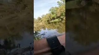 BIG Surprise Catch 🎣