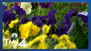 Non-profit offering free spaces for community to garden