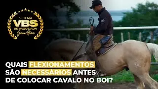 Quais flexionamentos são necessários antes de colocar cavalo no boi?