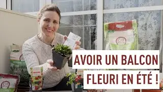 Planter des vivaces en pot pour un balcon fleuri en été !