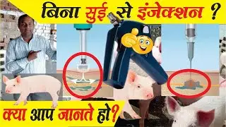 बिना सुई के लगने वाला इंजेक्शन | Contact us for Pig Farming 9045000339 | Gun for Goat Poultry & Pig