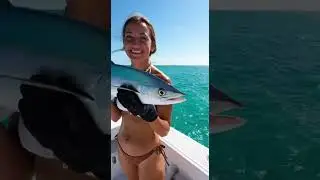 Jaw-Dropping Catch! Look At This Fish Colors!🤯 #fishing #shorts #fish