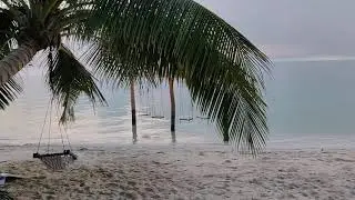 Пляж на острове Тодду / The beach in Thoddoo