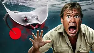 The Stomach Churning DEATH of Steve Irwin The Crocodile Hunter